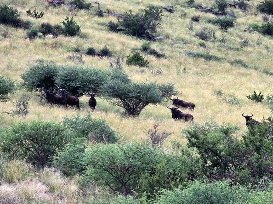 Commercial Property for Sale in Griekwastad Rural Northern Cape